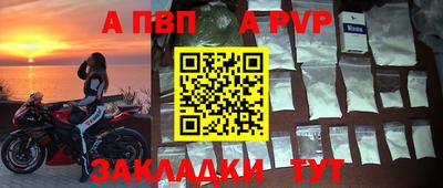 прущие грибы Лесосибирск